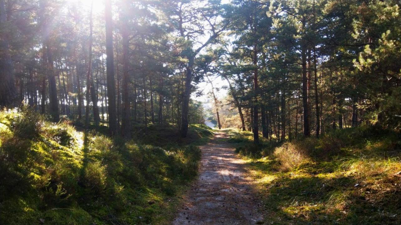 Przyczepy Kempingowe - Osrodek Na Klifie Village - Hel Helska 11 Exterior foto